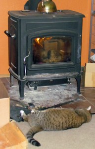 stove kitty
